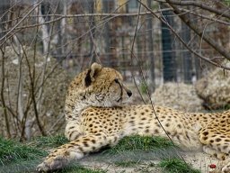 Tiergarten Schönbrunn am 23.03.2023